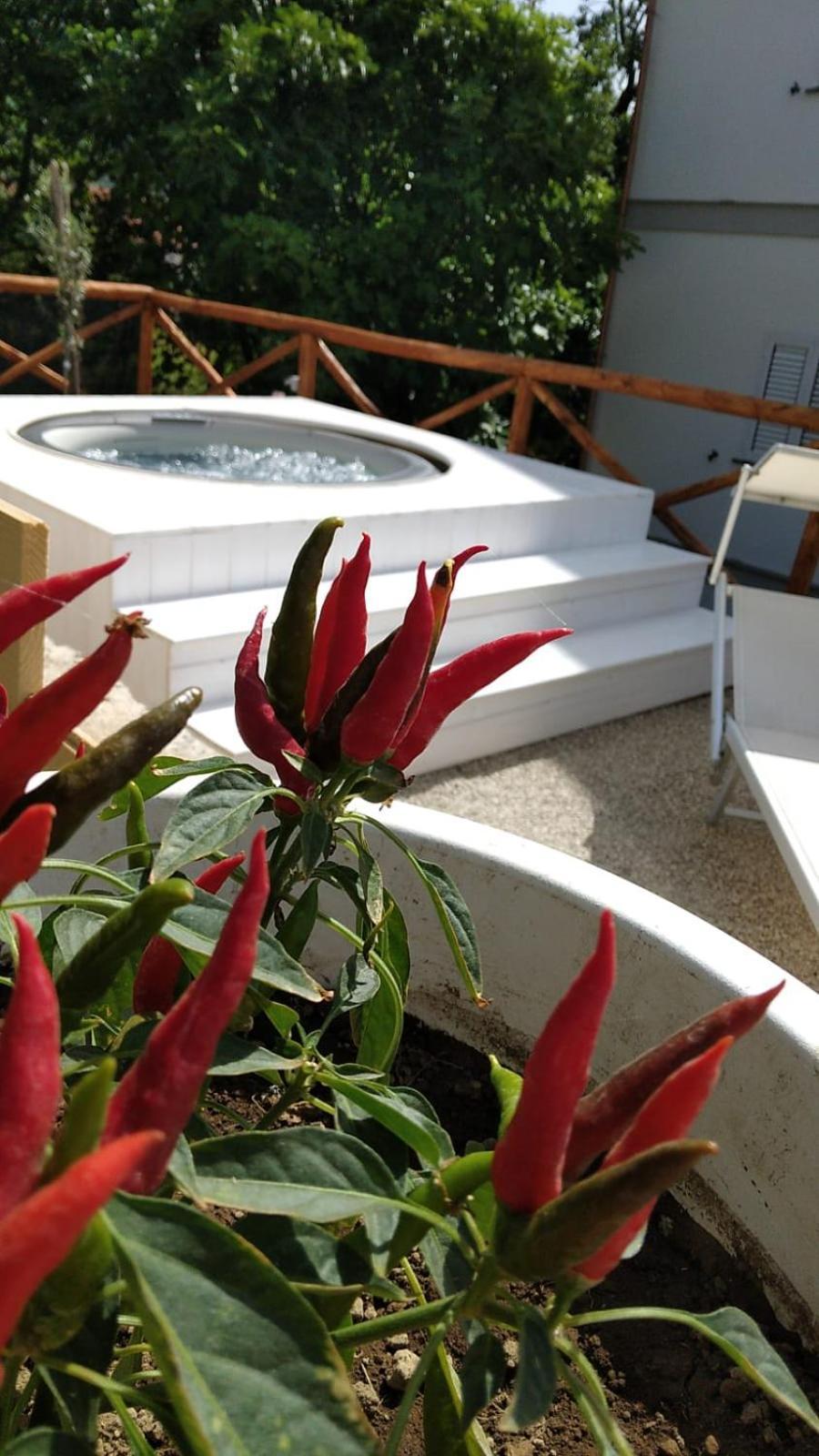 Four White Apartments Agerola Ngoại thất bức ảnh